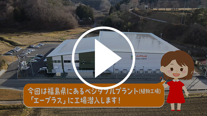 セブン‐イレブン「ベジタブルプラント工場潜入」篇 YouTubeで見る